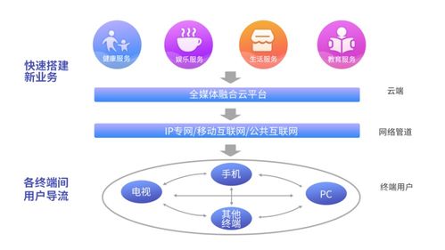 專訪新媒股份王兵 用互聯(lián)網(wǎng)技術(shù)打造新媒體的未來(lái)生態(tài)